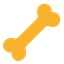 Bone Health